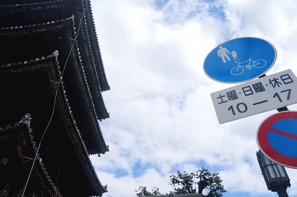 酵素青汁の海外ブランドが日本に上陸した理由とは？