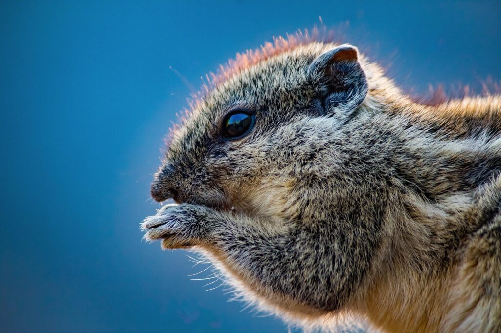 酵素青汁を使った介護食ドリンクのおすすめレシピは？