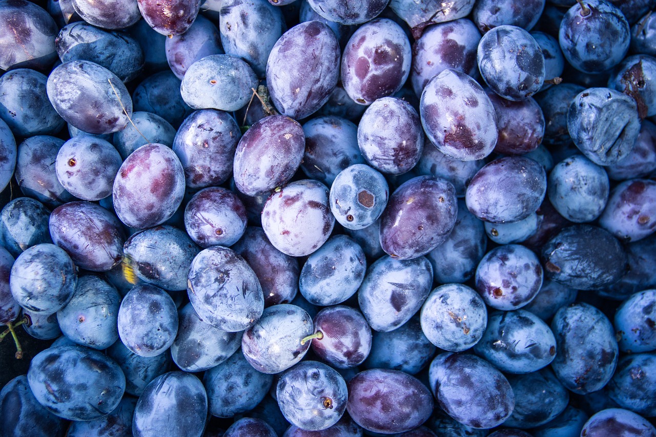 酵素青汁を使った介護食ドリンクのメリットは？