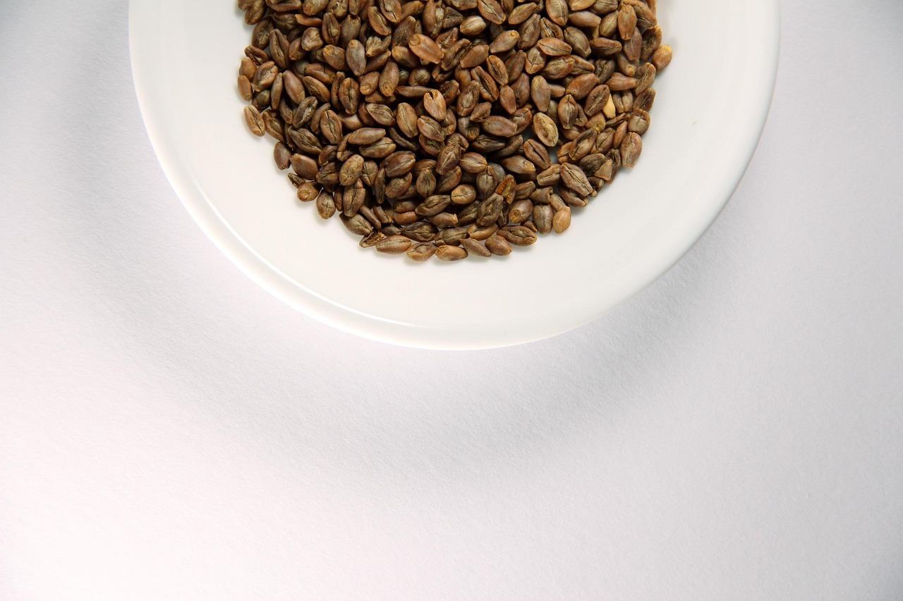 酵素青汁とスーパーフード大麦若葉の健康効果とは？