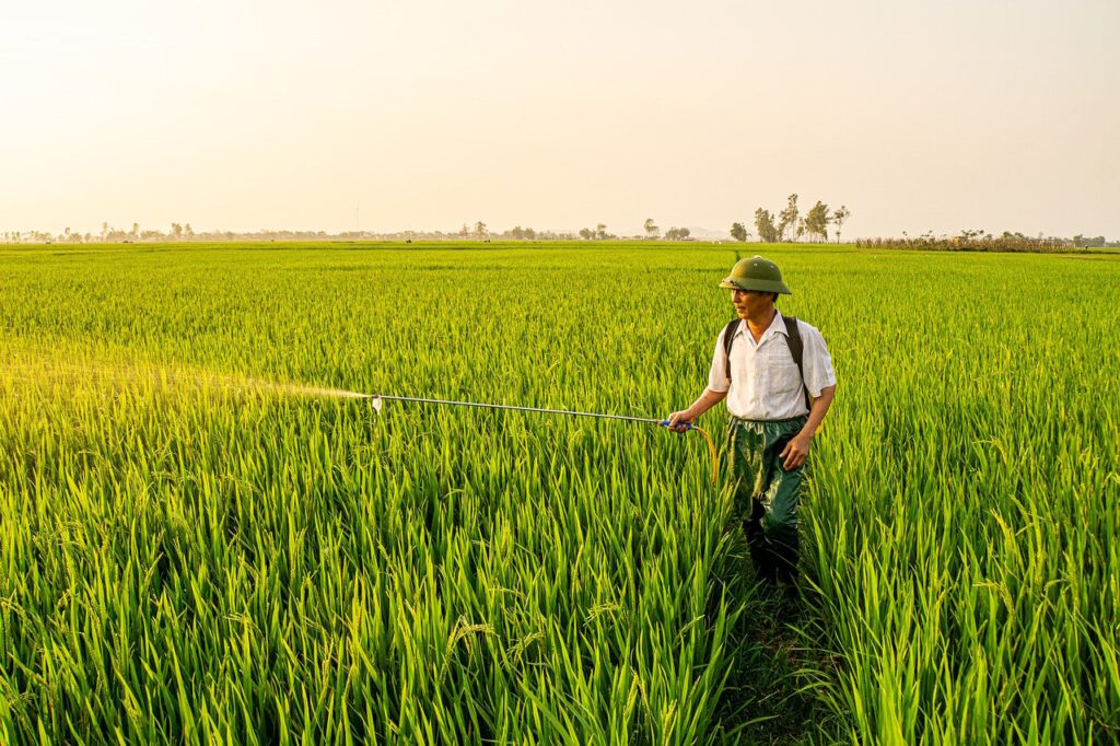 専門家が推奨する青汁の選び方は？