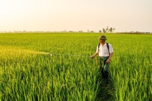 専門家が推奨する青汁の選び方は？