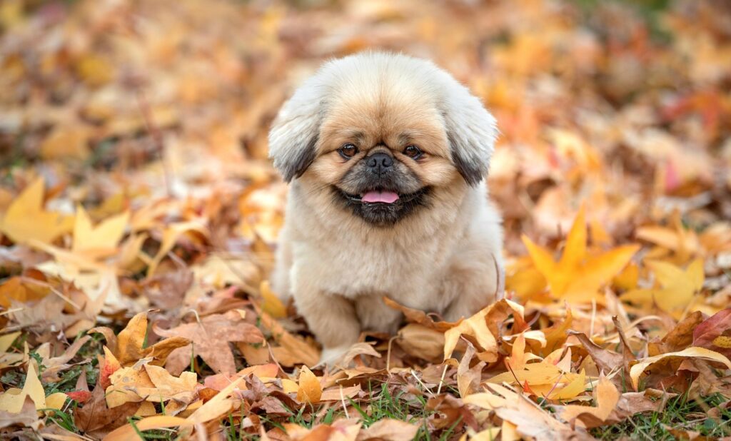 後悔した理由とは何か、考えるべきポイントは？