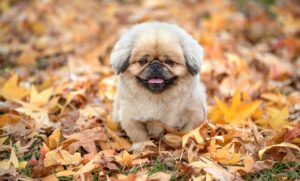 後悔した理由とは何か、考えるべきポイントは？