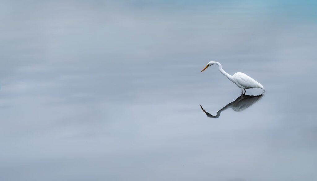 液体青汁の比較で選ぶべきおすすめ商品は？