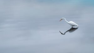 液体青汁の比較で選ぶべきおすすめ商品は？