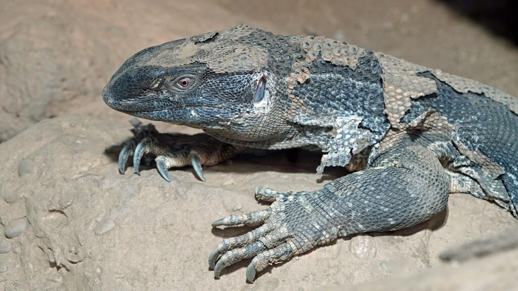 肌の変化に関する実例を知りたい方へ？