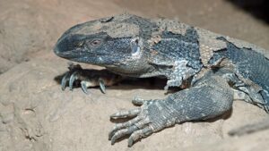 肌の変化に関する実例を知りたい方へ？