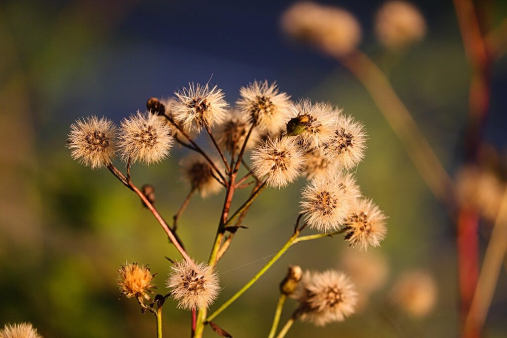酵素青汁が中性脂肪に与える影響とは？
