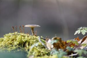 毛穴引き締めに効果的なスキンケア方法は？