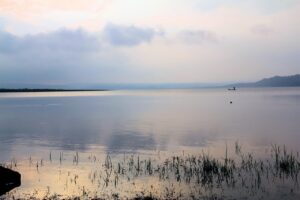 酵素青汁の値段相場はどのくらいですか？