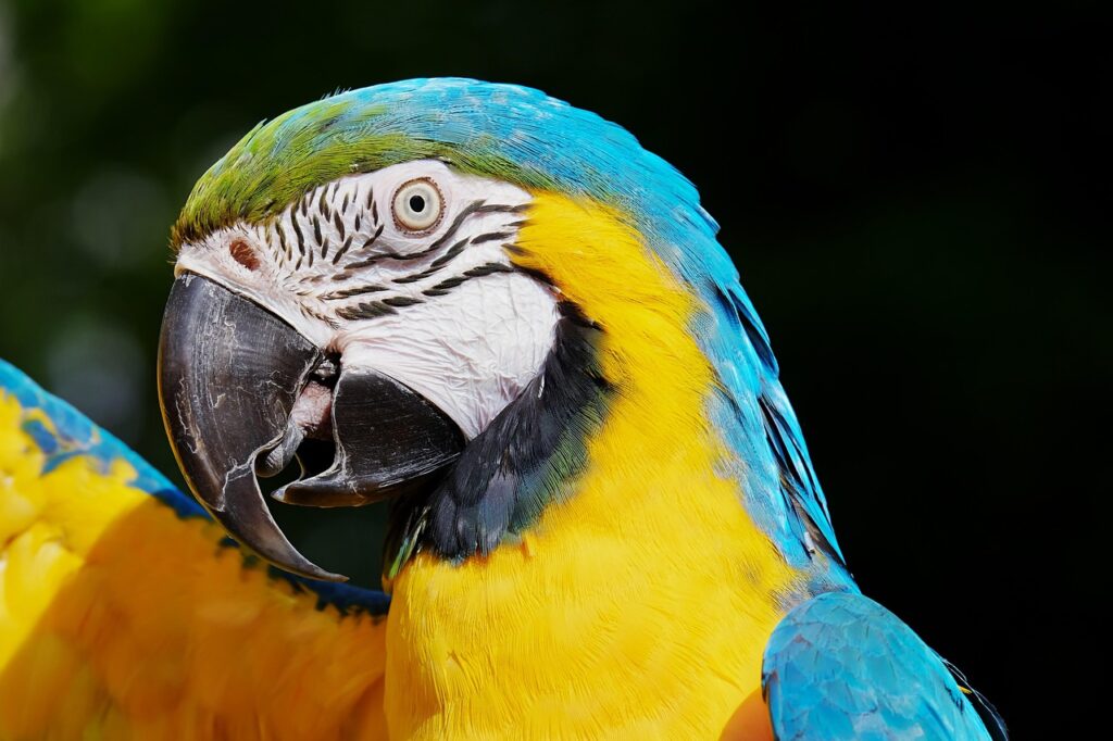 酵素青汁の酵素成分にはどんな効果があるの？