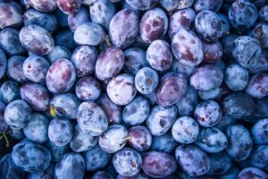 酵素青汁を取り入れた健康習慣の効果とは？