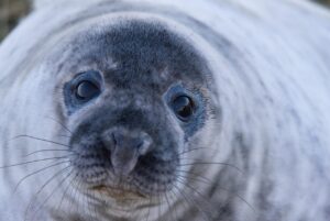 青汁の市販おすすめはどれ？あなたにぴったりの選び方を解説！